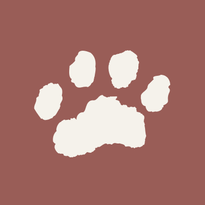 《 #いい子自慢キャンペーン開催中！》獣医師と作った愛犬愛猫のための菌ケアブランド🐶🐾 ワンちゃんの健康を守る情報や可愛すぎるワンちゃんショットを紹介✨ #kinswith を付けてワンちゃん投稿するとRTで紹介します🐕🦴