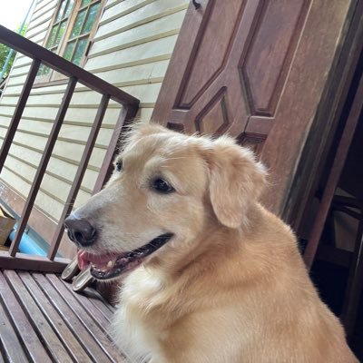 93KoSi's profile picture. 