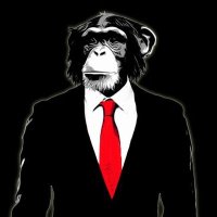 Ape Gems (@cryptogems_9937) 's Twitter Profile