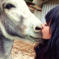 Schmagülzchen (@missschmaguelze) 's Twitter Profile Photo Schmagülzchen (@missschmaguelze) 's Twitter Profile Photo