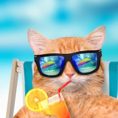 SeavenFOX's profile picture. 