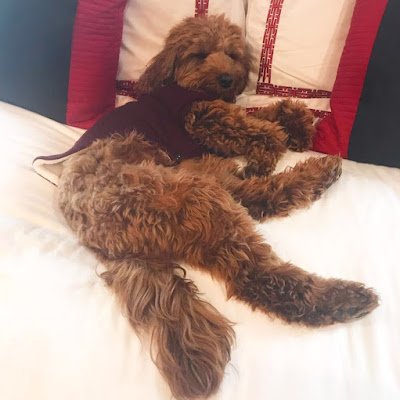 MSmith57390's profile picture. 