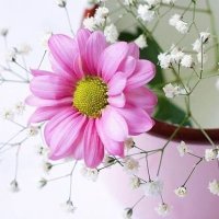حنان (@mamm123690) Twitter profile photo