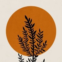 Let Jaipur Breathe Movement (@dolkabadh) 's Twitter Profile Photo