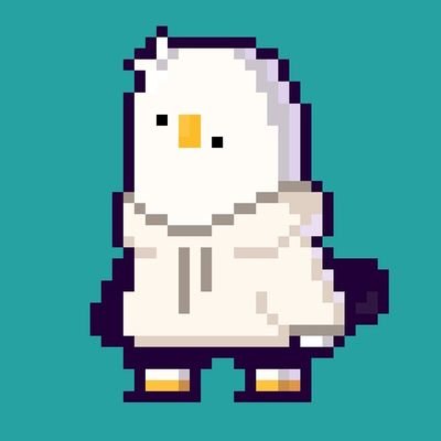 Korean seagull | main account : @sea_maggie