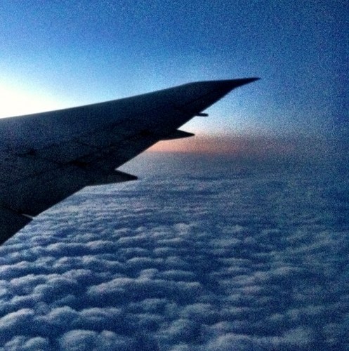 ilukovnikov's profile picture. 