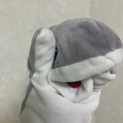 さめたろうさんのプロフィール画像