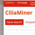 CiliaMiner (@ciliaminer) Twitter profile photo