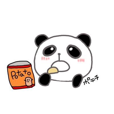 koa_pochi_panda Profile Picture