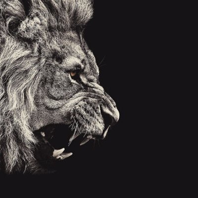 king_of_blog's profile picture. vibes, connection, violence 🔫, happy .