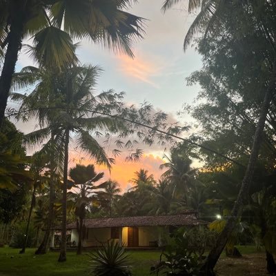 lilswitch__'s profile picture. 🇲🇺 🇨🇭