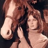 Pferdekatzen-Fee Romy 🐴🐈⬛👩 (@rrixinger) 's Twitter Profile