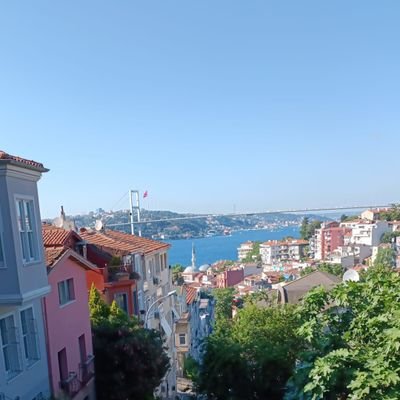 hedefliman's profile image