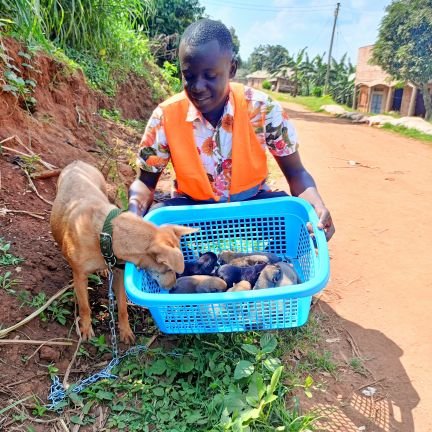 My name is kawuki Richard. Director at Roswell animal sanctuary in Uganda. We are working day and night to rescue stray 🐶🐕🏠 fight for animal welfare.
