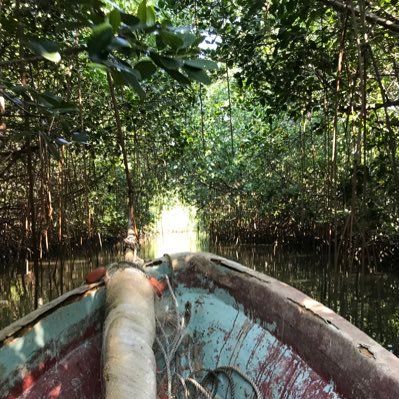 seta_tuicuvu's profile picture. Straight from Fiji,living somewhere in France.