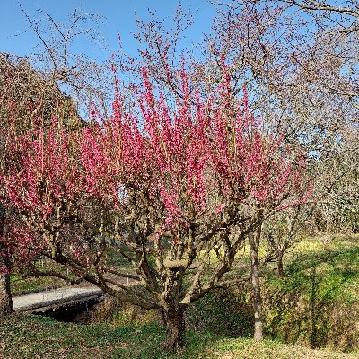 harunonharunon's profile picture. Stray Kids 大好きです☺️  大人すぎSTAY 
Kids様皆好きで特にヒョンジンが大好き   あちこち行ってはぽちぽち❤️つけてます   よろしくお願いします‼️