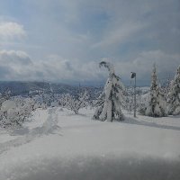 🇹🇷 YHS-KARTAL-6002🇹🇷 (@samsun5560st) 's Twitter Profile Photo