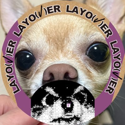 mayumi060823's profile picture. BTS 🐻🐰