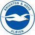 Brighton & Hove Albion Profile picture