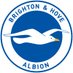 Brighton & Hove Albion Women (@BHAFCWomen) Twitter profile photo