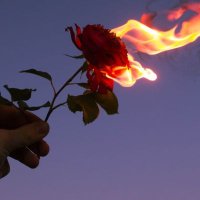 Abysmal Dreams (@abysmaldreams) 's Twitter Profile