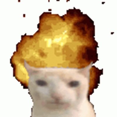 jacobbbbbbroc's profile picture. 