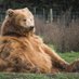 Joe Bear (@joebear1292) Twitter profile photo Joe Bear (@joebear1292) Twitter profile photo
