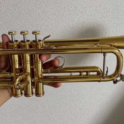 NFJO Trumpet 大学はTGU