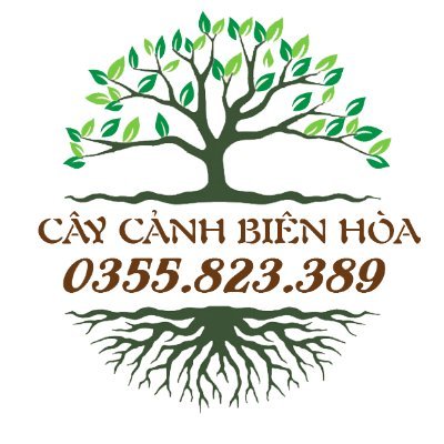 Cây Cảnh Biên Hòa chuyên cung cấp các loại hoa cây cảnh với giá tốt nhất thị trường