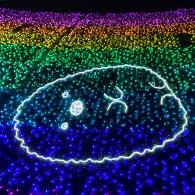 asahinamamm's profile picture. 懸賞とお得情報大好きピノ❣️懸賞でインフラ生活の支えになったらママは嬉しい🥹 👨‍👩‍👧‍👦子育て👨‍👩‍👧‍👦 ⭐️懸賞⭐️ 無言フォロー歓迎（フォロバします❣️）🌈 当選報告丁寧に❣️ 怪しい垢（副業投資系/エロ系など）はフォローしません❌、即ブロック