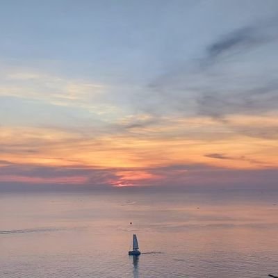 MMlPTpp's profile picture. 