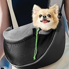 BeliRachid's profile picture. Dogs ❤