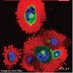 Proteoglycan Research (@pgresearch_) Twitter profile photo Proteoglycan Research (@pgresearch_) Twitter profile photo