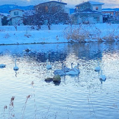 2020年妊娠出産をきっかけに、健康業界もプロパガンダばかりなのに気づき、2021.12に蜂蜜療法に出会う。本当の身体の仕組みや健康とは…を有馬陽子、崎谷博征両先生から機序に基づいて学び中。現代医療や薬に頼らない健康の保ち方、子育て、騙されない世の中の情報の見極め方を発信。蜂蜜療法PUFAフリーの事発信中。💉未接種。