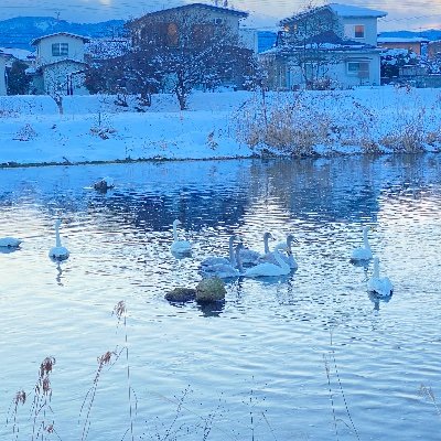 妊娠出産をきっかけに、健康業界もプロパガンダばかりなのに気づき、ネット検索では出てこない本当の身体の仕組みや健康とは…を機序に基づいて学び中。現代医療や薬に頼らない健康の保ち方、子育て、騙されない世の中の情報の見極め方を発信。2021.12にPUFAフリー蜂蜜療法に出会う。蜂蜜療法PUFAフリーの事発信中。💉未接種。