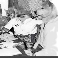 Lt Col Pierre Charles Langlais #Fella (@ltcollanglais) 's Twitter Profile Photo