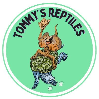 @tommys_reptiles