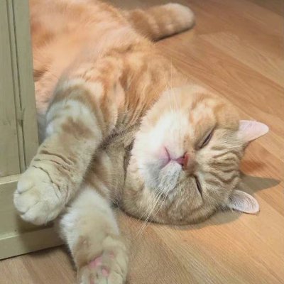 bilapollative's profile picture. 外見で人を判断してはいけない。
https://t.co/vJ0PAq9d9u