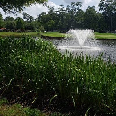 4100_CDM's profile picture. 