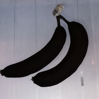 FUCKNG9's profile picture. あきらめろん！ゲームと日常生活の独り言垢。OW2、スプラ(サモラン)、ファンパレ、フレンド募集中です！
身バレ防止のため不定期で鍵かけてます。