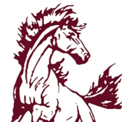 Shenandoah High School / Activities Profile