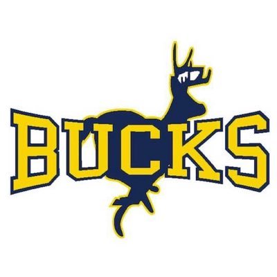 Buckhorn High School Baseball