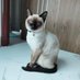 หม่ามี๊น้อง (@nongnonglakzn) Twitter profile photo หม่ามี๊น้อง (@nongnonglakzn) Twitter profile photo