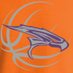 Eastlake Lady Falcons Basketball (@EastlakeGBB) Twitter profile photo