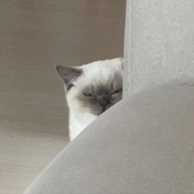 ยูเมโนさんのプロフィール画像