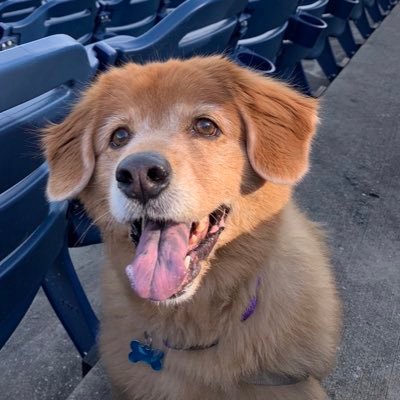 ThatSAMgal's profile picture. Everything’s gonna be alright.