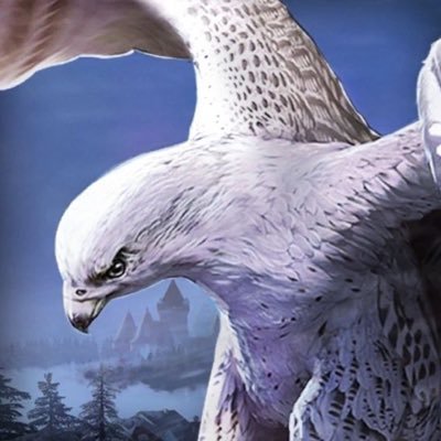 lies0nlies's profile picture. 