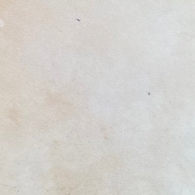 dLY26aaeQs8Y8wC's profile picture. 冷やしVR始めました。TRPG(CoC6.7)もまだやっておりまする、デュエマはモチのロンまだ続いています