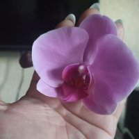 you can call me Natali (@_you_can_call_) 's Twitter Profile