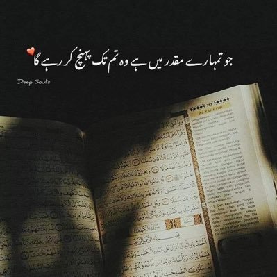 MAhmadR82616242's profile picture. 